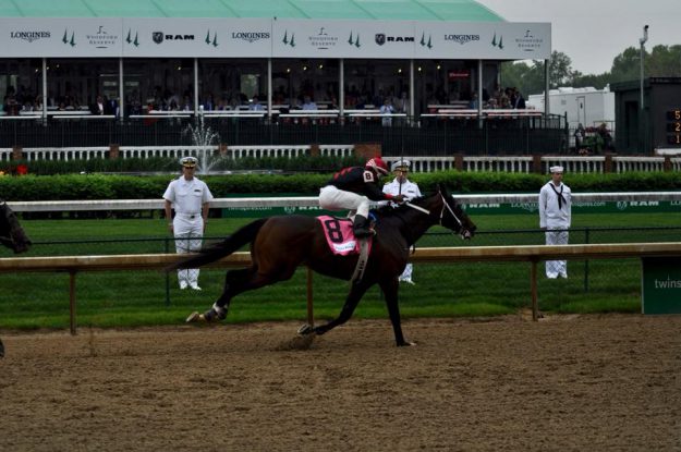 31924536_10155351792472617_7330052132386635776_n